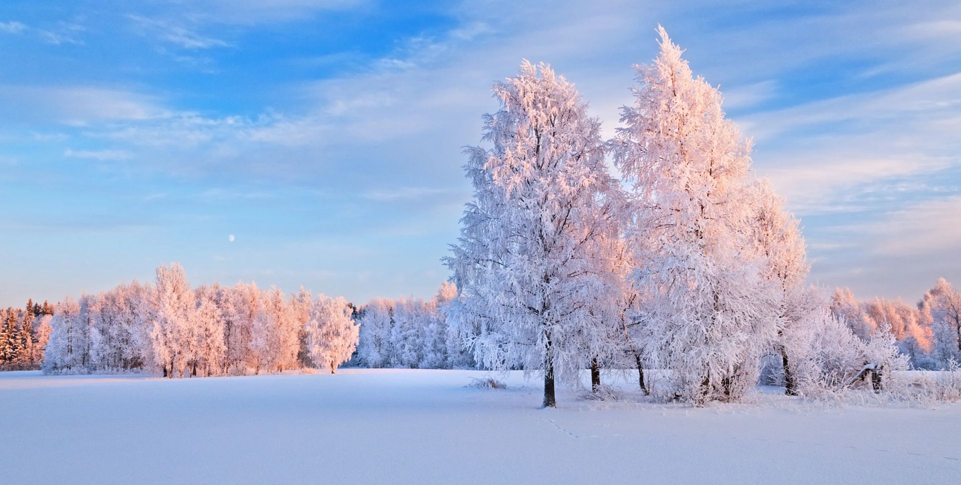 licht en lucht in de winter sneeuw